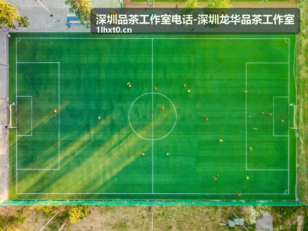主题茶会活动 龙华茶文化沙龙